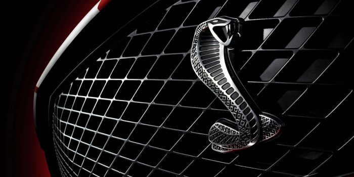 1920x1200 Shelby Cobra GT500 Mustang 8 Wallpaper | HD Car Wallpapers | ID #621