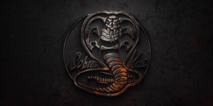 1915x1081 Cobras Wallpapers