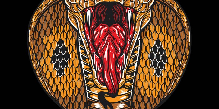 1080x1920 Download Don't Touch My Phone Cobra Wallpaper | Wallpapers.com