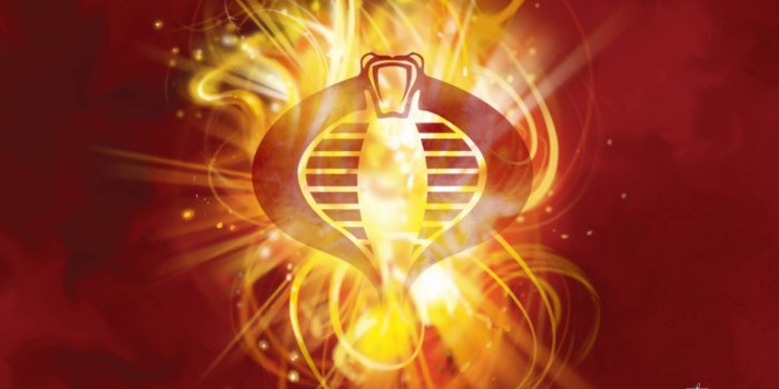 1920x1200 Gi Joe Cobra Logo HD wallpaper