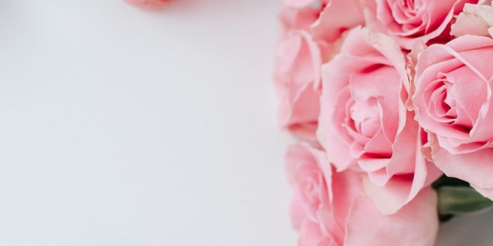 1000x1563 Flower Pink Pictures | Download Free Images on Unsplash