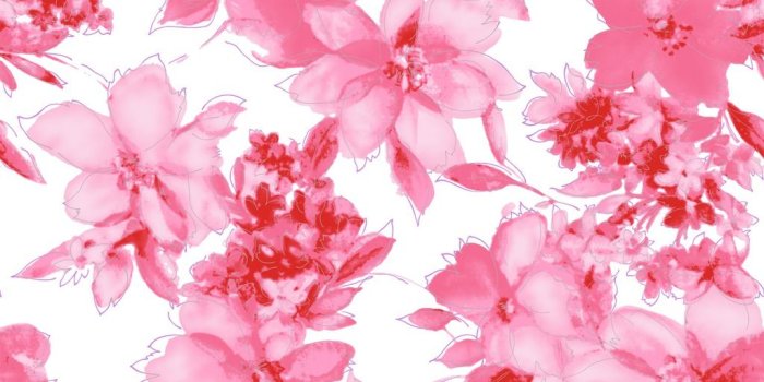 1024x768 Pink Flower Wallpaper - The Best Quality Pictures | Pink wallpaper  backgrounds, Flower illustration, Pink flowers wallpaper