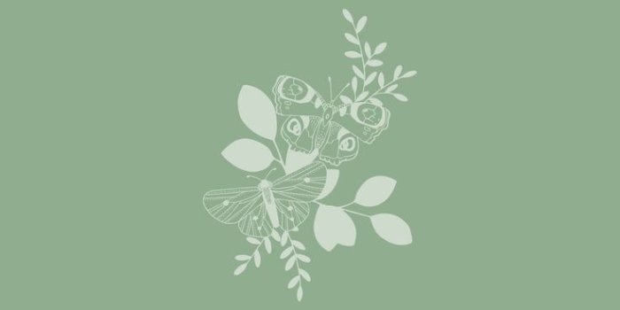 736x1308 aesthetic green | Iphone wallpaper green, Green wallpaper, Cute simple  wallpapers