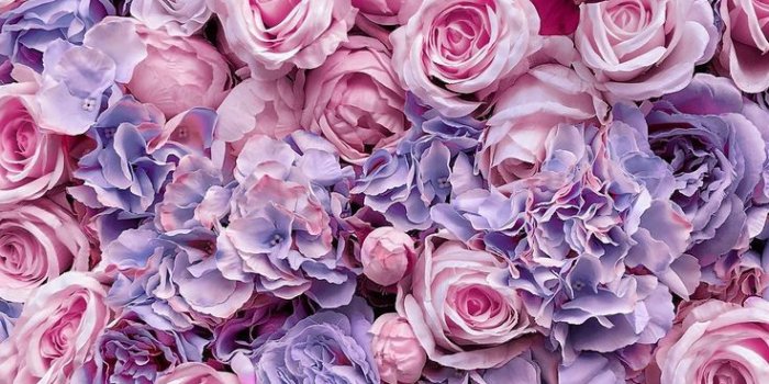 736x1308 Pin on Aesthetic wallpapers in 2022 | Purple flowers wallpaper, Flower  background iphone, Flower iphone wallpaper