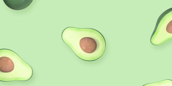 736x1308 Green Aesthetic iPhone Wallpapers
