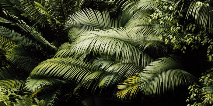 1000x1500 Green Aesthetic Wallpaper on Inspirationde