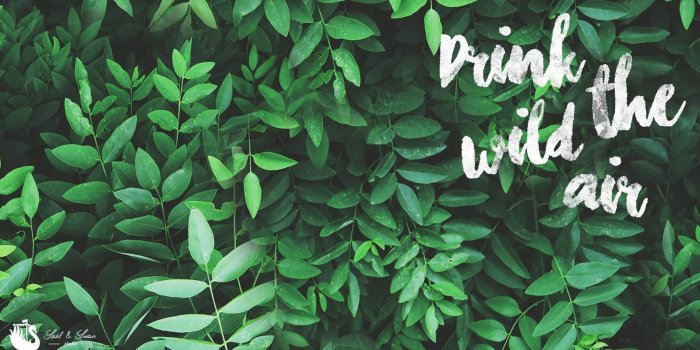 1920x1200 Pastel Green Aesthetic Wallpapers HD for Windows - PixelsTalk.Net