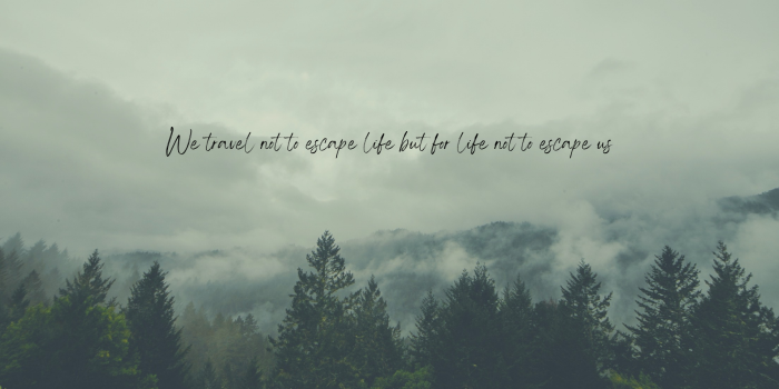 1920x1080 20 Sage Green Aesthetic Wallpaper Backgrounds (FREE)