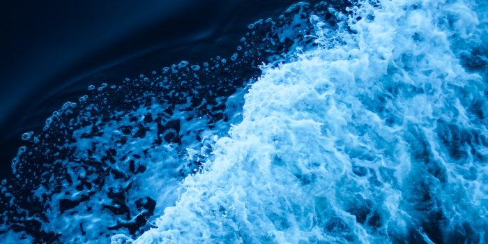 1000x1506 500+ Dark Blue Pictures | Download Free Images on Unsplash