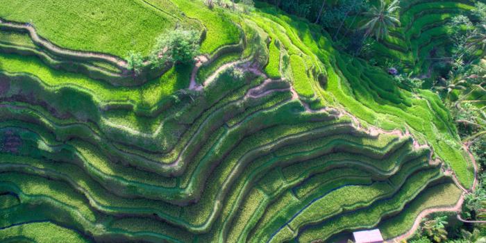 4000x2840 30+ 4K Indonesia Wallpapers | Background Images