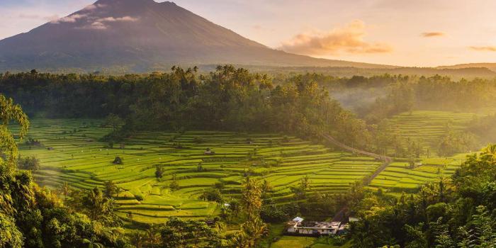 1332x850 Wallpaper Indonesia, rice fields, the island of Bali, Agung images for  desktop, section пейзажи - download
