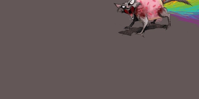 1920x1148 Download Nyan Cat Meme Wallpaper | Wallpapers.com