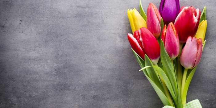 1332x850 Wallpaper flowers, bouquet, colorful, tulips, fresh, pink, flowers,  beautiful, tulips, spring images for desktop, section цветы - download