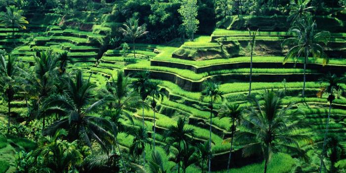 1920x1200 Bali, Indonesia Ultra HD Desktop Background Wallpaper for 4K UHD TV :  Tablet : Smartphone