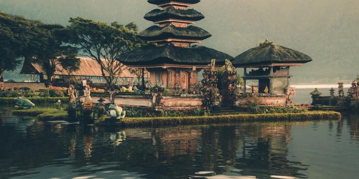 1000x1327 100+ Beautiful Bali Images | Download Free Pictures On Unsplash