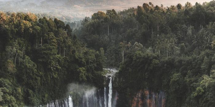 1400x2489 View of Mount Bromo and Tumpak Sewu Waterfalls, Indonesia mobile phone  wallpaper | premium image by rawpixel.com / … | Waterfall, View wallpaper,  Nature photography
