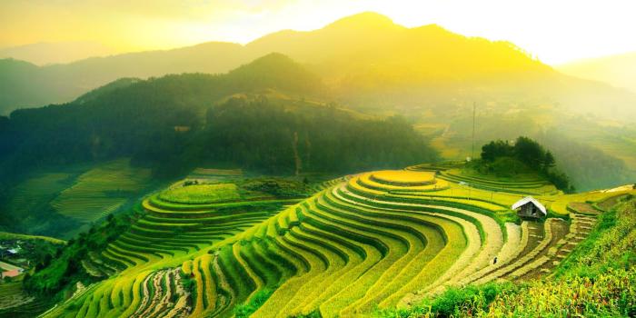 1600x900 Ubud Wallpapers