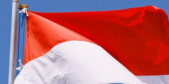 1284x2778 Best Indonesia flag iPhone HD Wallpapers - iLikeWallpaper