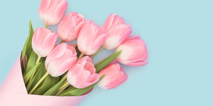 2160x1350 Wallpaper 4k Baby Pink Tulips Wallpaper