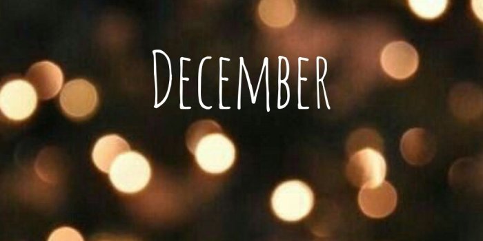 1080x1920 december wallpaper | Рождественские обои, Рождественский фон,  Рождественские изображения