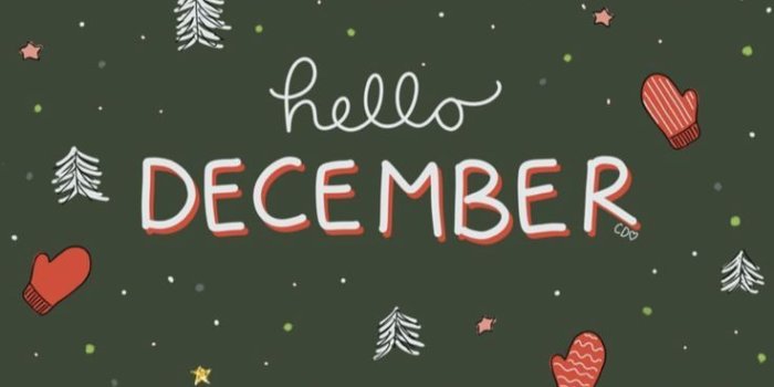 736x1308 Danielle on Wallpapers | Christmas phone wallpaper, December  wallpaper iph… | Cute christmas wallpaper, Christmas phone wallpaper,  Wallpaper iphone christmas