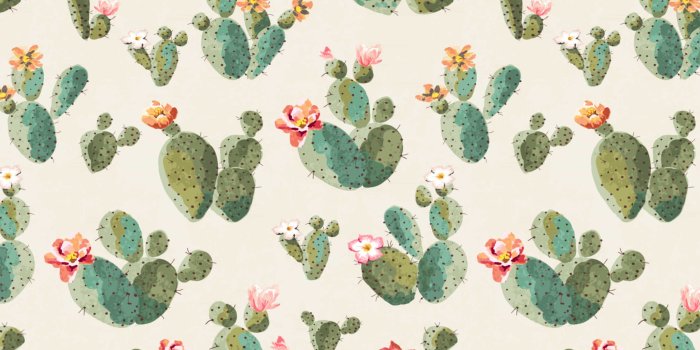 3028x1872 Cactus Plants Wallpaper for Walls | Insufferable Succulents