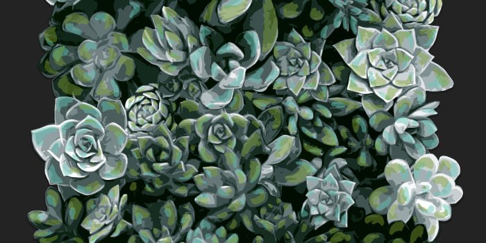 2500x3203 Succulents Wallpaper — Noël Ashby