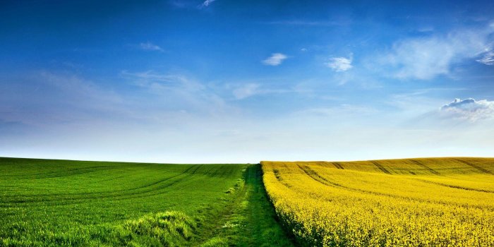 1920x1200 Fields Wallpapers