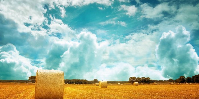 2560x1600 Field Wallpapers - Top Free Field Backgrounds - WallpaperAccess