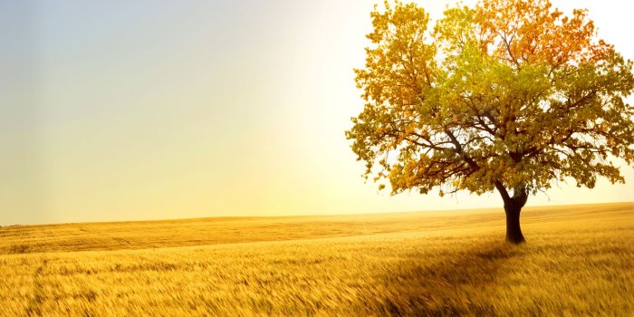 3840x2160 4K Field Wallpapers - Top Free 4K Field Backgrounds - WallpaperAccess