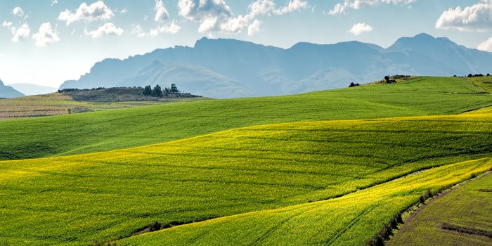 5472x3259 Green Field · Free Stock Photo