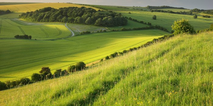 1332x850 Wallpaper field, trees, photo, hills images for desktop, section пейзажи -  download