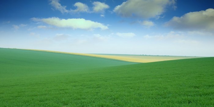 1920x1080 22 Field Wallpapers - Wallpaperboat