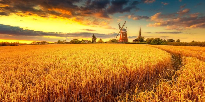 2048x1152 Windmill on Wheat Field at Sunset Wallpaper, HD Nature 4K Wallpapers,  Images, Photos and Background - Wallpapers Den