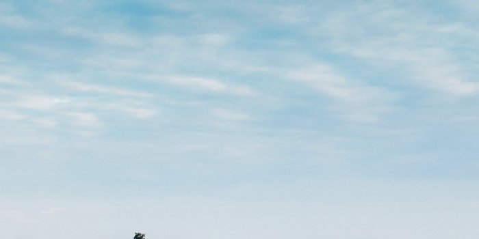 1440x2560 Field and Big Sky Wallpaper - iPhone, Android & Desktop Backgrounds