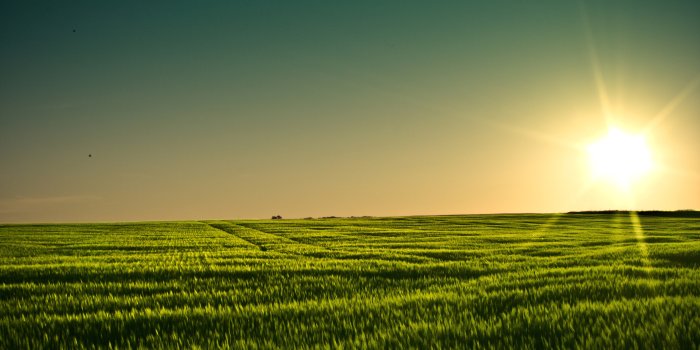 3888x2430 100+ 4K Field Wallpapers | Background Images