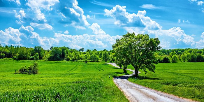 2048x1360 field HD Wallpapers / Desktop and Mobile Images & Photos