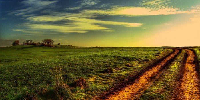 1920x1200 sunset, Field, Road, Landscape Wallpapers HD / Desktop and Mobile  Backgrounds
