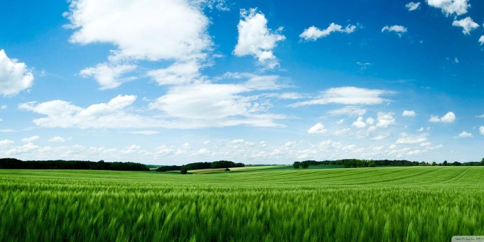 2560x1024 Green Field Wallpapers