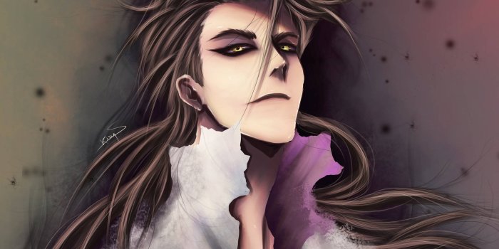 1960x1493 Download Aizen Fan Art Wallpaper | Wallpapers.com