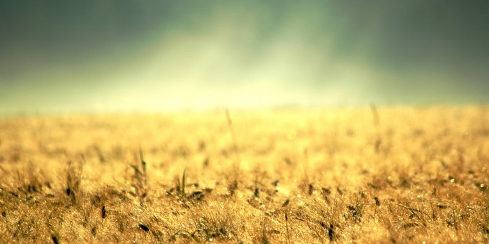 1680x1050 Wallpapers | HD Desktop and Mobile Wallpapers