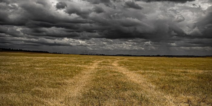 1000x1333 Dark Field Pictures | Download Free Images on Unsplash