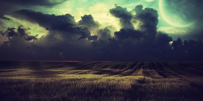 2560x1600 760+ Field HD Wallpapers and Backgrounds