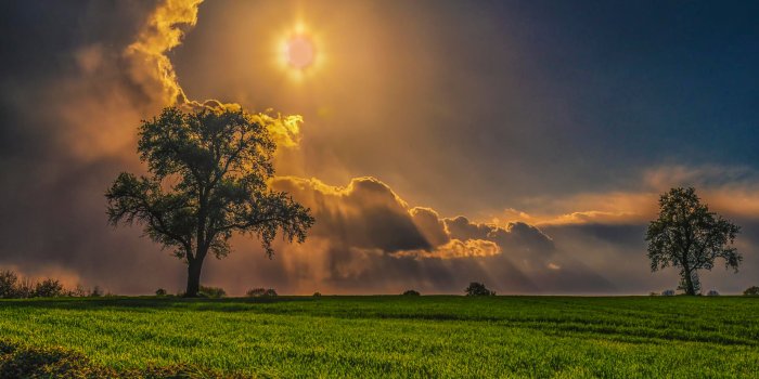 3840x2160 Wallpaper 4k Field Trees Grass Sky Wallpaper