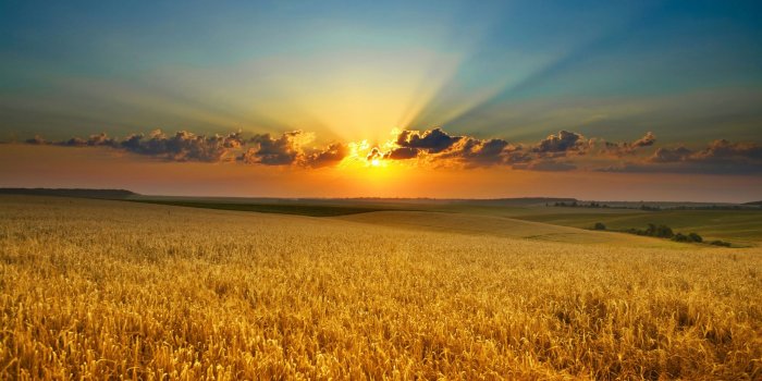 2560x1600 10000+ All Mac Wallpapers Free HD Download | AllMacWallpaper