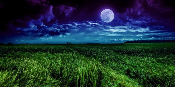 2880x1800 Moon Wallpaper 4K, Landscape, Night, Field, Nature, #1016