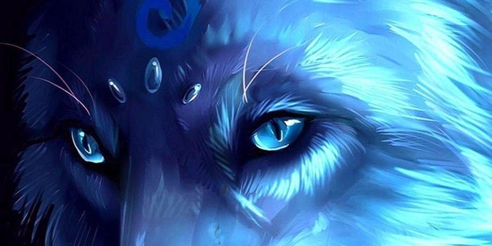 1056x1879 Animated Wolf Wallpapers