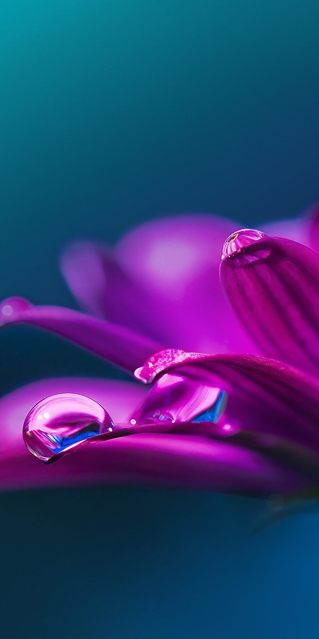 1024x2048 Download LG Stylo 5 Wallpapers (Full HD+) | DroidViews