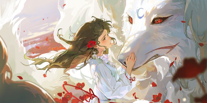 3840x2160 60+ 4K Wolf Wallpapers | Background Images