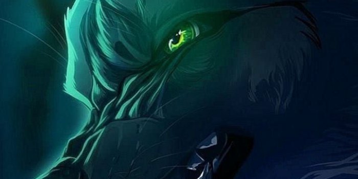 720x1281 Anime Wolf Phone Wallpapers | Anime wolf, Wolf wallpaper, Anime